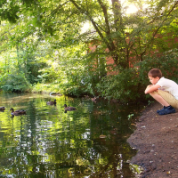 Lauges funktionelle mavesmerter og ny ro trods ordblindhed