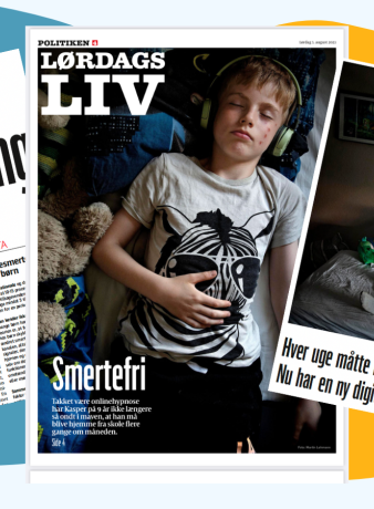 Artikler i Politiken